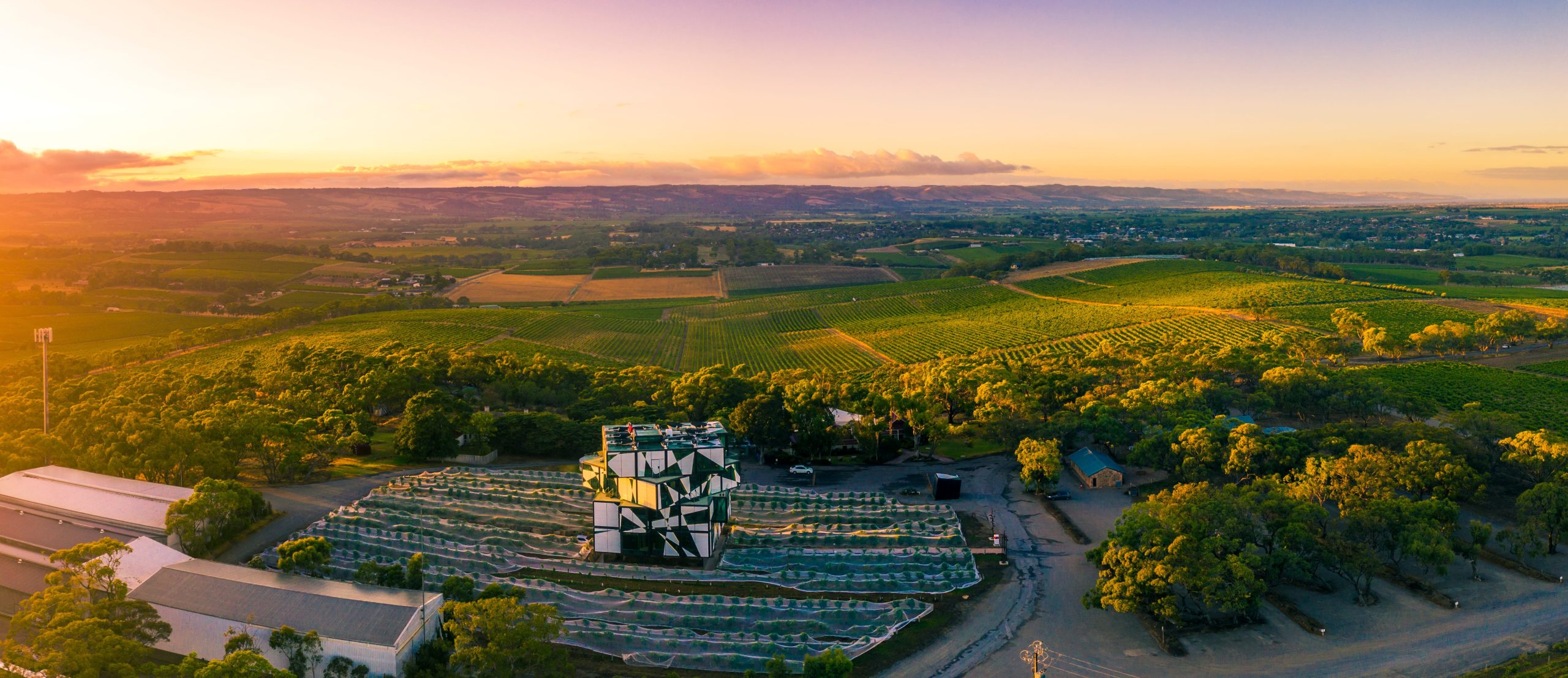 Barossa Valley wineries